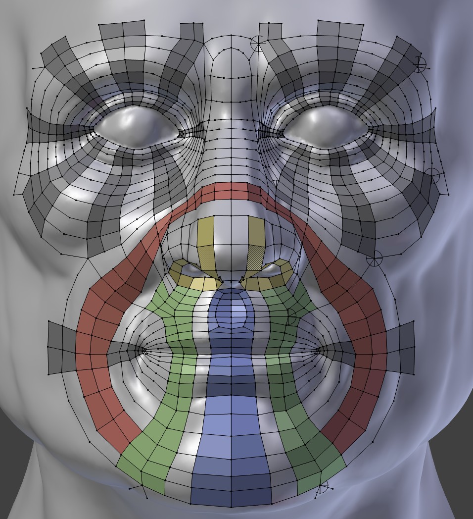 Face retopo refence preview image 1